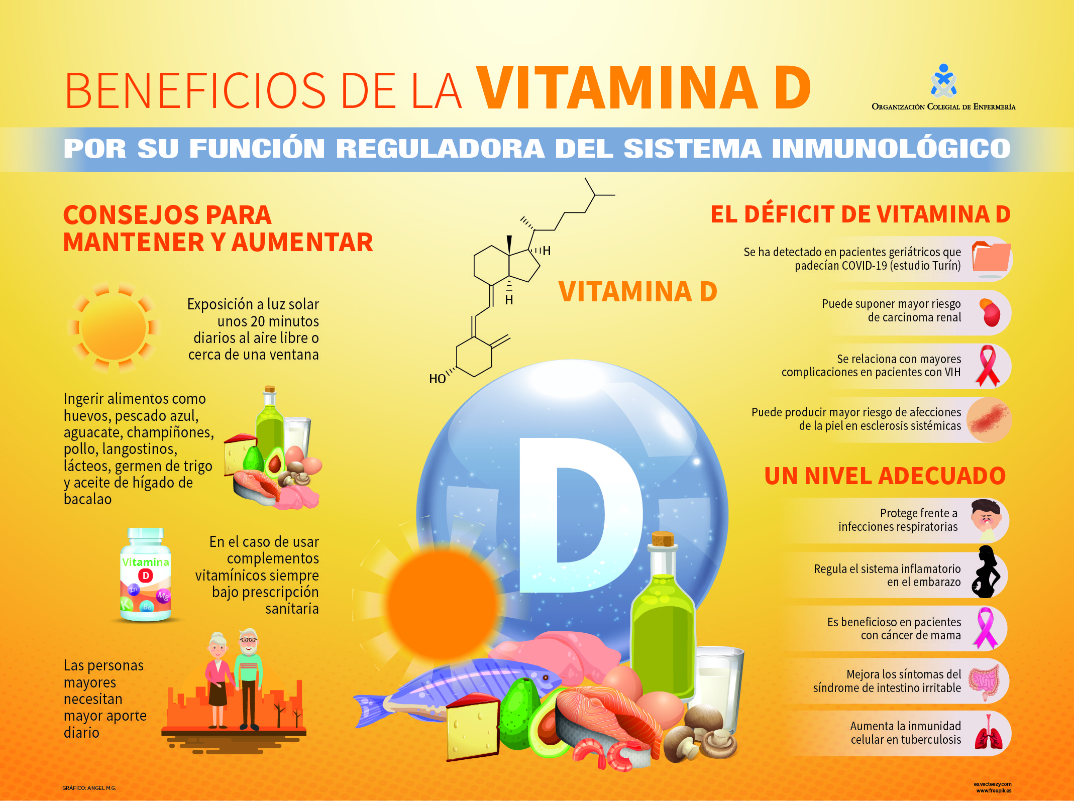 infografia vitamina D