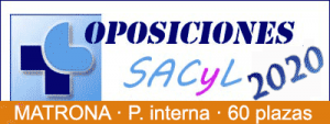 SACyL 2020 Matrona (60 plz).- Listado Provisional de Méritos