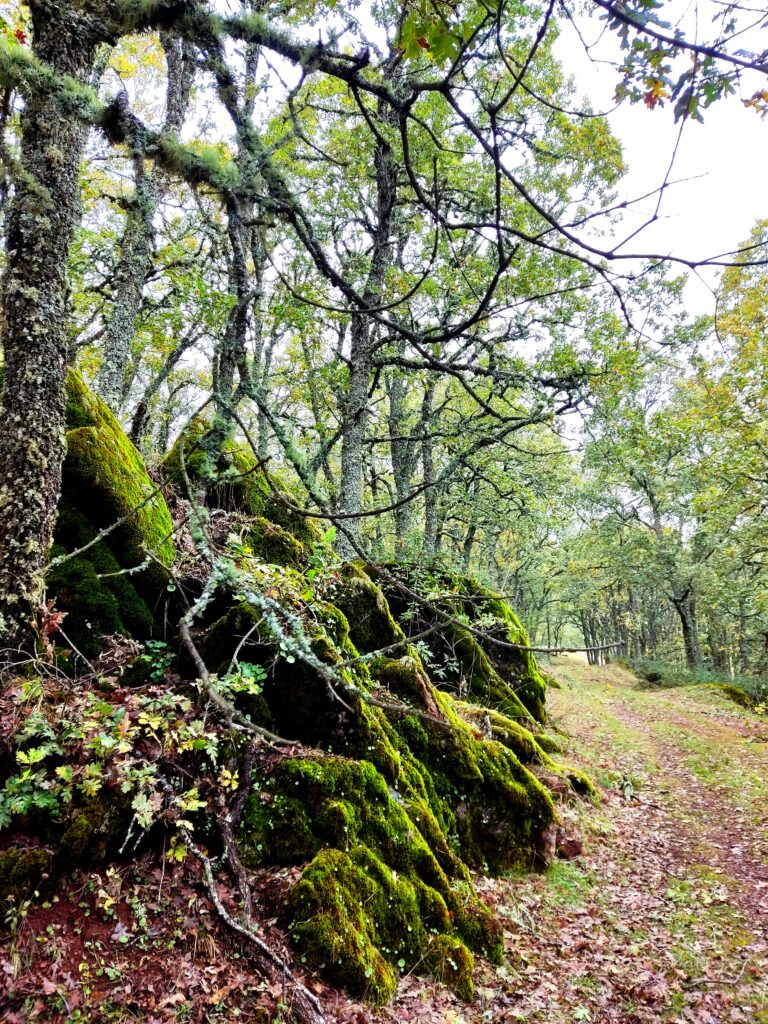Sierra de las Quilamas, senderos llenos de vida