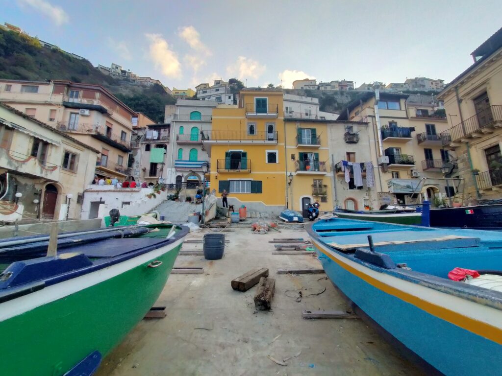 Scilla