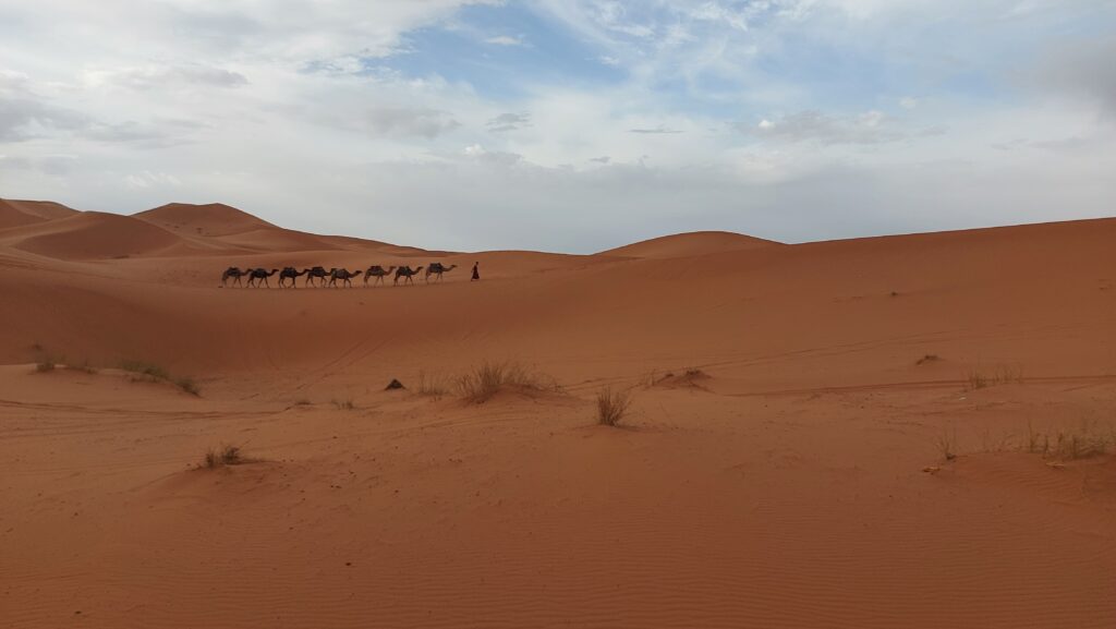 MERZOUGA