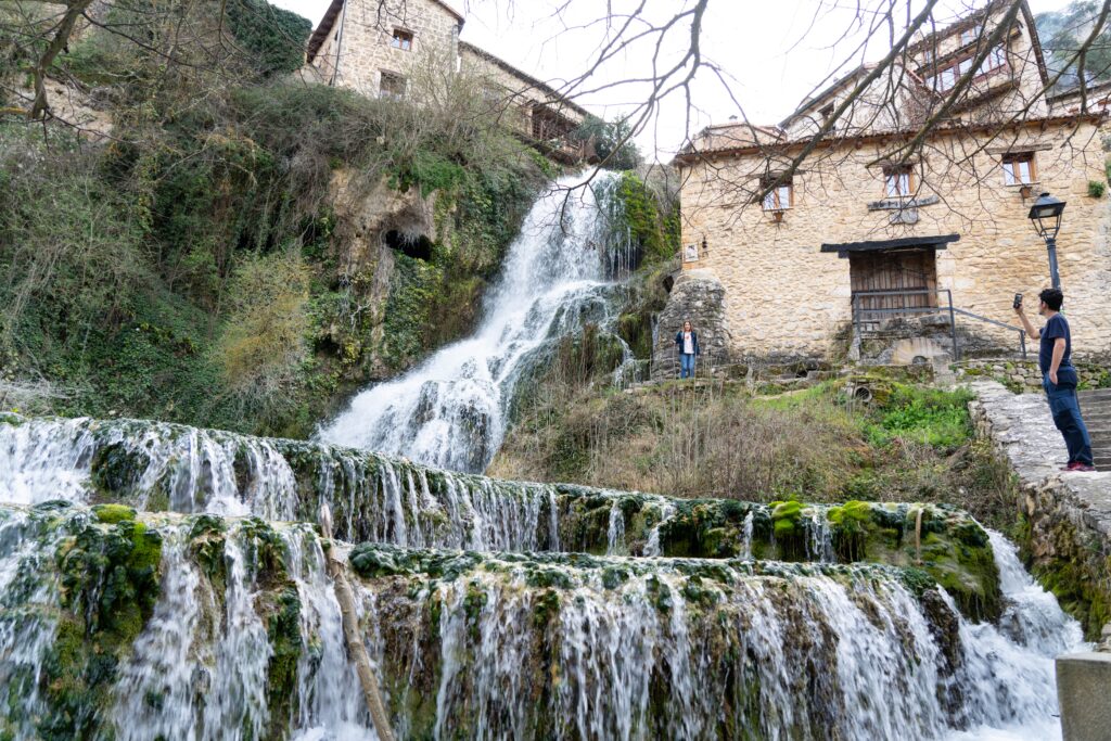 ORBANEJA