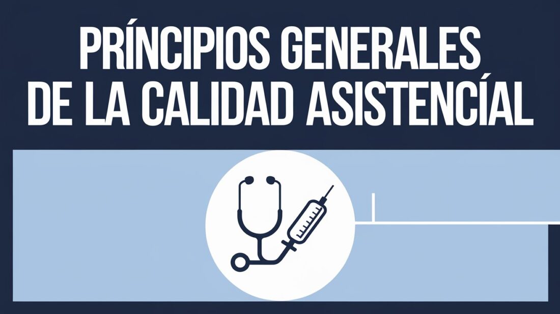 Curso ONLINE (Fnn): Principios general de la calidad asistencial ...