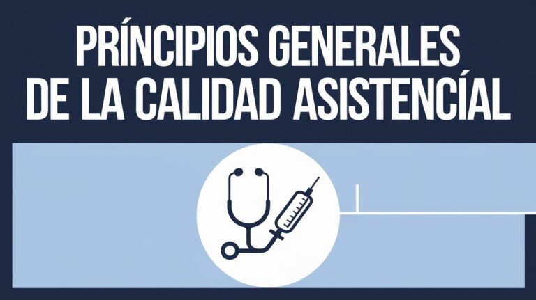 Curso ONLINE (Fnn): Principios general de la calidad asistencial ...