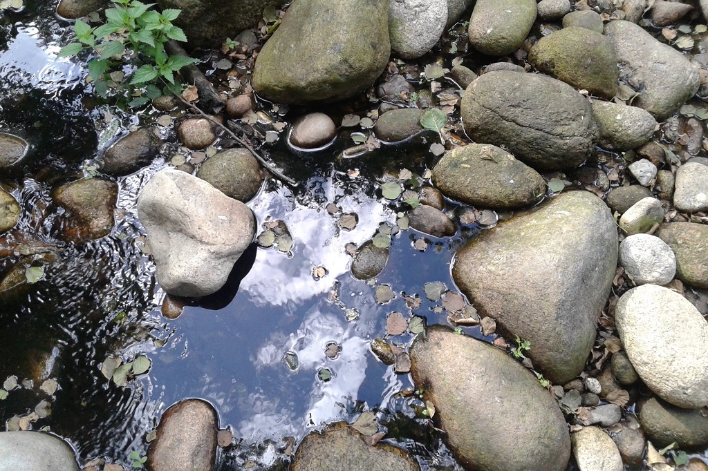 Reflejos