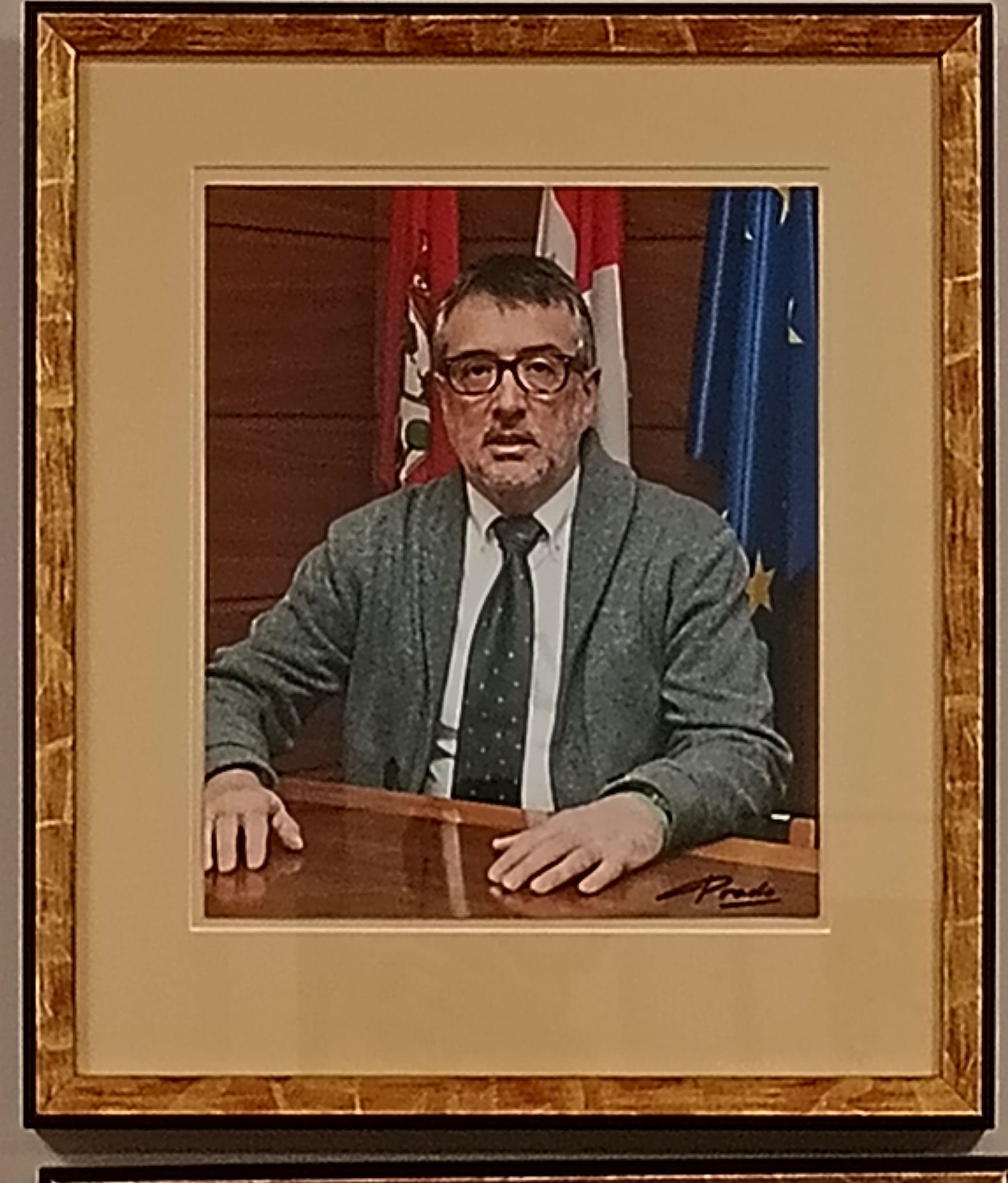 Retrato de D. Luis Fraile Calle